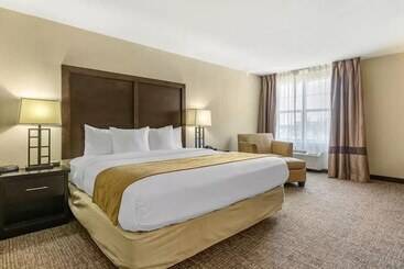هتل Comfort Inn & Suites Allen Park  Dearborn