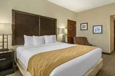 هتل Comfort Inn & Suites Allen Park  Dearborn