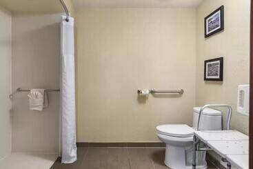هتل Comfort Inn & Suites Allen Park  Dearborn