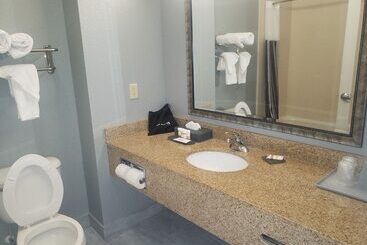 هتل La Quinta By Wyndham Mobile Tillman S Corner