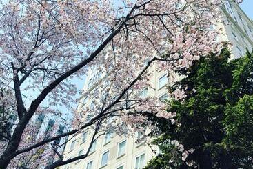 هتل Monterey Edelhof Sapporo