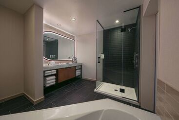 هتل Thewit Chicago, A Hilton