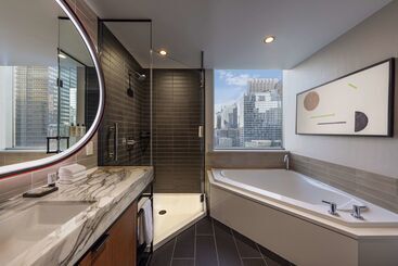 هتل Thewit Chicago, A Hilton