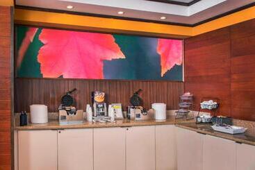 هتل Fairfield Inn & Suites By Marriott Williamsburg