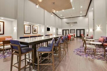 هتل Hampton Inn & Suites Flint/grand Blanc