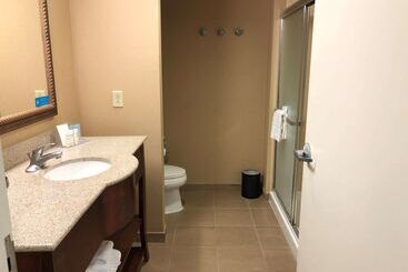 هتل Hampton Inn & Suites Norfolk Airport