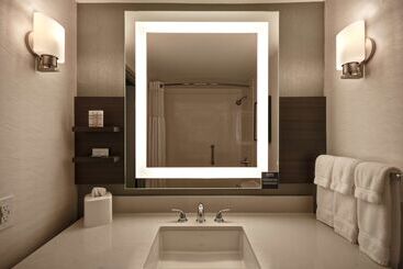 هتل Hilton Garden Inn Detroit Metro Airport
