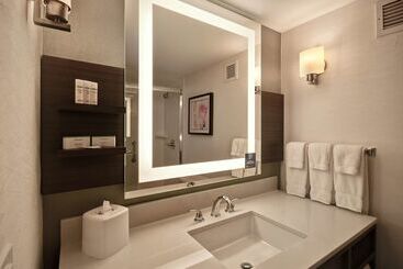هتل Hilton Garden Inn Detroit Metro Airport