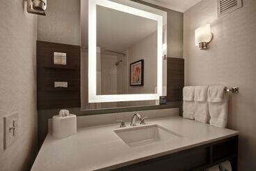 هتل Hilton Garden Inn Detroit Metro Airport