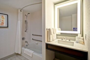 هتل Hilton Garden Inn Detroit Metro Airport
