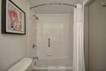 هتل Hilton Garden Inn Detroit Metro Airport