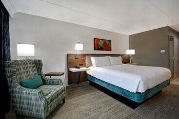 هتل Hilton Garden Inn Detroit Metro Airport