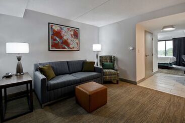 هتل Hilton Garden Inn Detroit Metro Airport