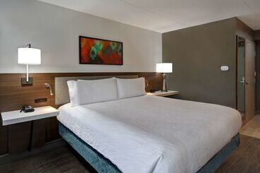 هتل Hilton Garden Inn Detroit Metro Airport