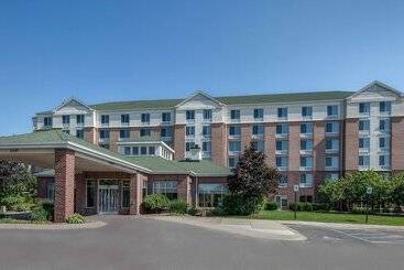هتل Hilton Garden Inn Detroit Metro Airport