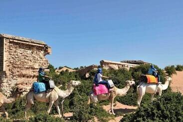 هتل Sofitel Essaouira Mogador Golf & Spa