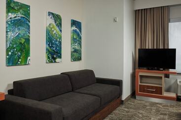 هتل Springhill Suites By Marriott Baton Rouge North / Airport