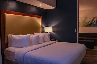 هتل Springhill Suites By Marriott Baton Rouge North / Airport