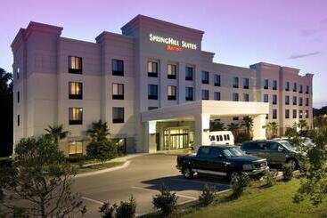 هتل Springhill Suites By Marriott Jacksonville North I 95 Area