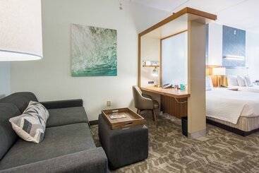 هتل Springhill Suites Tampa North/tampa Palms