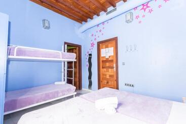 هاستل White Nest