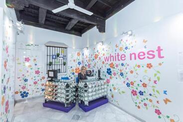 هاستل White Nest
