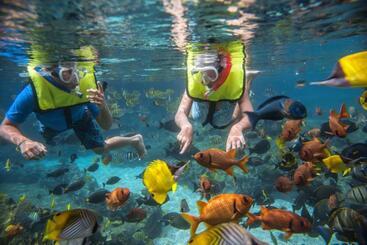 Aulani, A Disney Resort And Spa