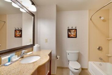 Hampton Inn & Suites Show Low Pinetop