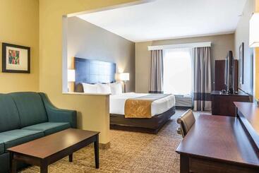 هتل Comfort Suites North