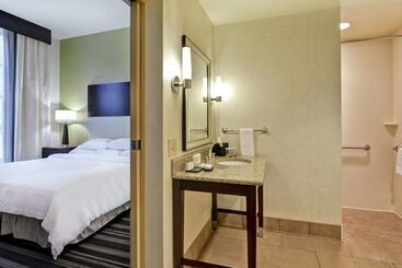 فندق Embassy Suites By Hilton Savannah Airport