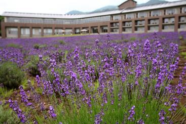 هتل Furano