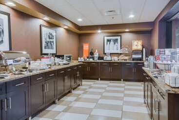 هتل Hampton Inn & Suites Las Cruces I 25