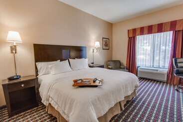 هتل Hampton Inn & Suites Las Cruces I 25