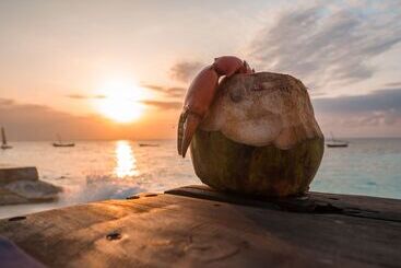 هتل Nungwi Beach Resort By Turaco