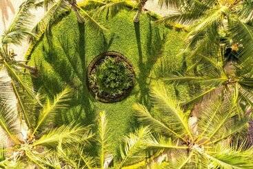 هتل Nungwi Beach Resort By Turaco