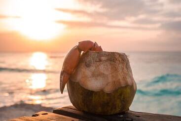 هتل Nungwi Beach Resort By Turaco