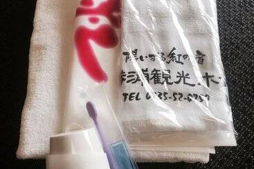 هتل Hiizurukurenainoyado Katsuurakanko