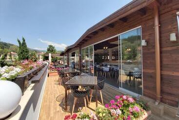 هتل Pirin Park