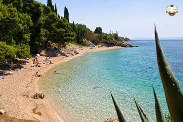 هتل Villa Midea