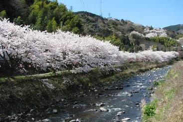 هتل Yugawara Onsen Kawasegien Isuzu