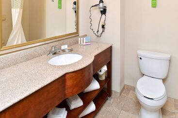 هتل Hampton Inn & Suites Daytonvandalia