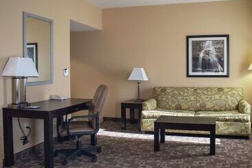 هتل Hampton Inn & Suitesknoxville/north I75