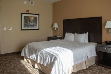 هتل Hampton Inn & Suitesknoxville/north I75