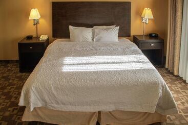 هتل Hampton Inn & Suitesknoxville/north I75