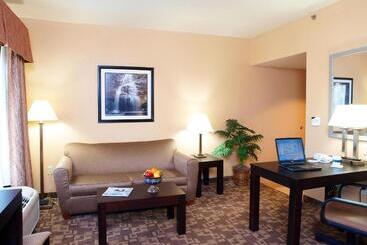 هتل Hampton Inn & Suitesknoxville/north I75