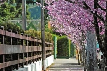 هتل Matsubara