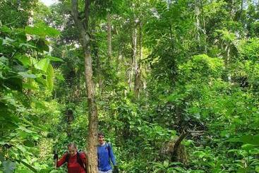 هتل Golden Forest Homestay