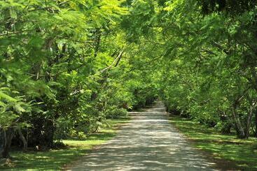 هتل Summerfield Luxury Resort & Botanical Garden