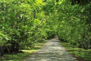 هتل Summerfield Luxury Resort & Botanical Garden