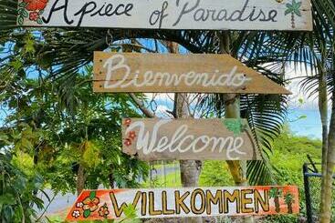 A Piece Of Paradise - San Carlos